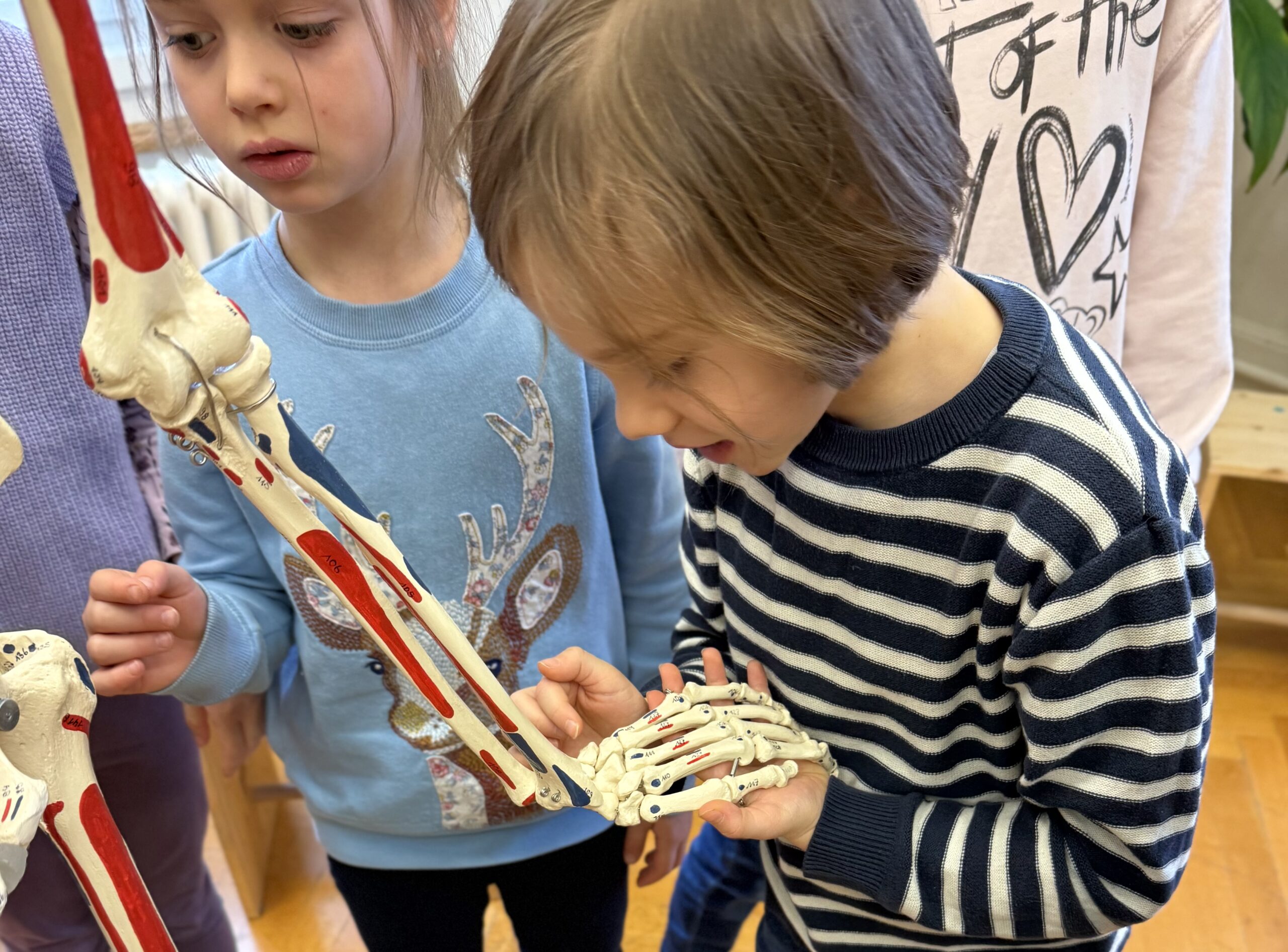 Foto 12.01.26, 09 20 33 Kopie